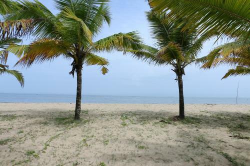 Marari Beach Paradise