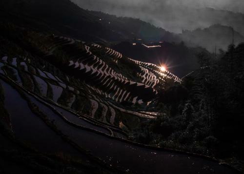 Hostal Longji Terrace Wood House