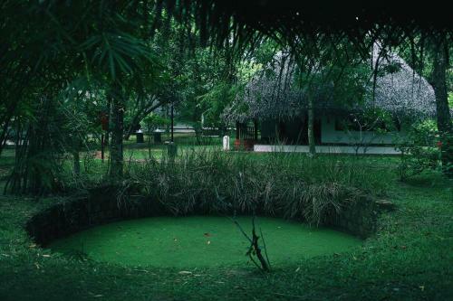 Hotel Marari Beach - Cgh Earth