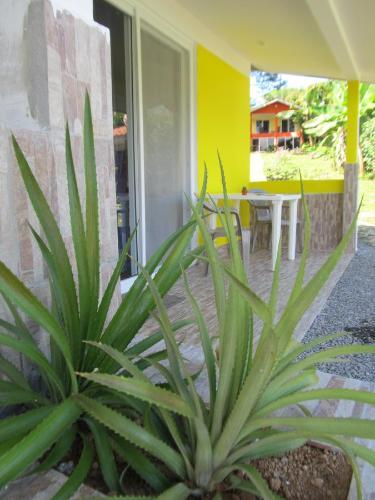 Bed & Breakfast Residence Las Lajas