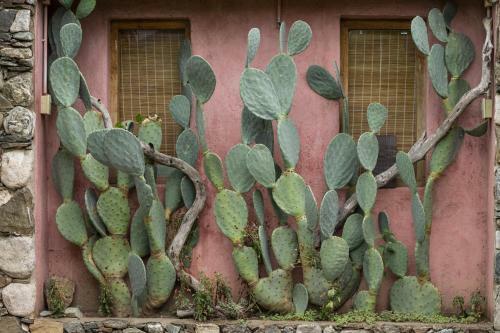 La Teresita Posada