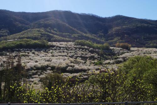 Hotel Hospederia Valle Del Jerte