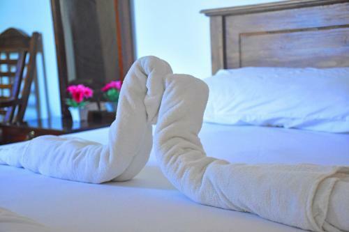 Hostal Osanda Guest
