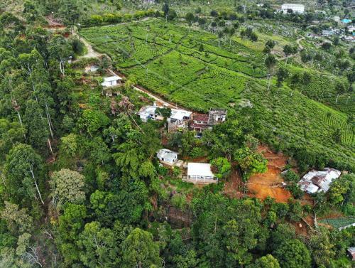 Hostal White Monkey Dias Rest
