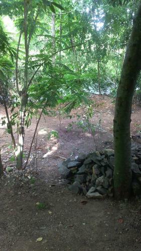Executive Residency Retreat