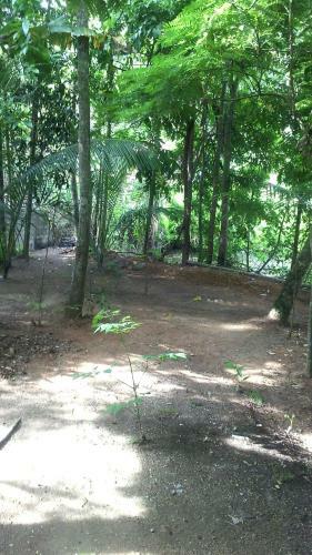 Executive Residency Retreat
