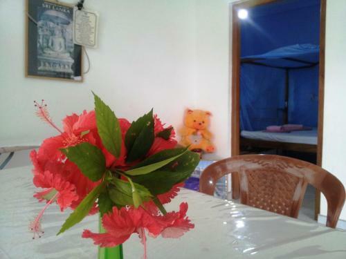 Bed & Breakfast Era Holiday House