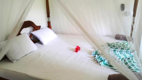 Bed & Breakfast Era Holiday House