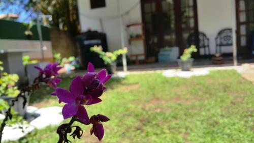 Bed & Breakfast Era Holiday House