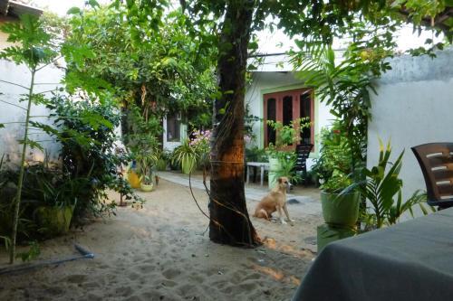 Grace Homestay