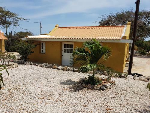 Arawa Houses