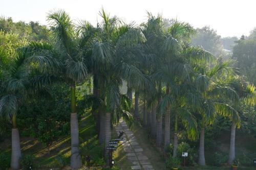 Hotel Sultan Bagh Ranthambore