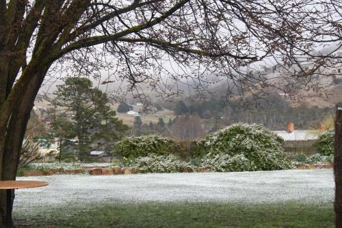 Omeo Motel