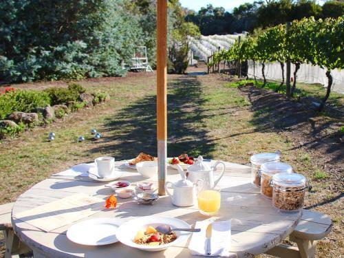 Bed & Breakfast Every Man And His Dog Vineyard
