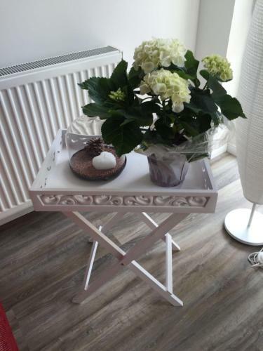 Apartamento Harz Cottage