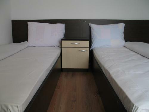 Apartment Planinski Rai