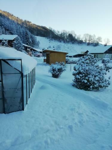 Apartamento Haus Anneliese