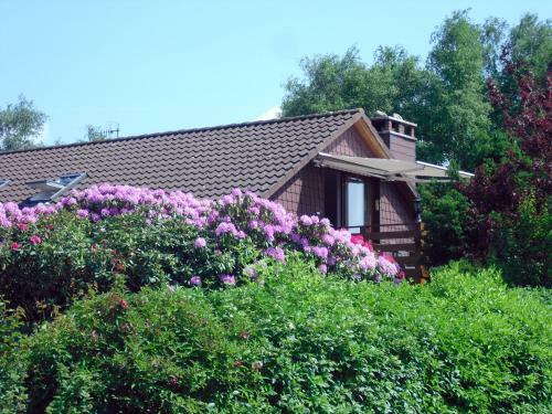 Apartamento Ferienwohnung Kleiner Esch