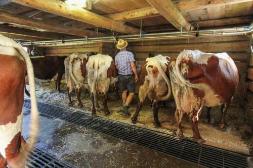 Agroturismo Ferienhof Pfefferbauer