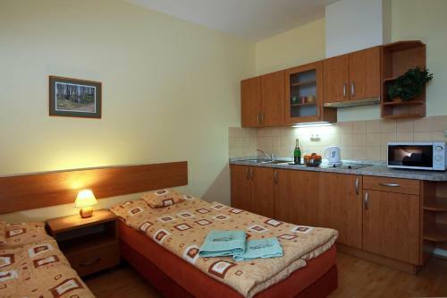 Hostal Wellness Penzion Pod Rozhlednou