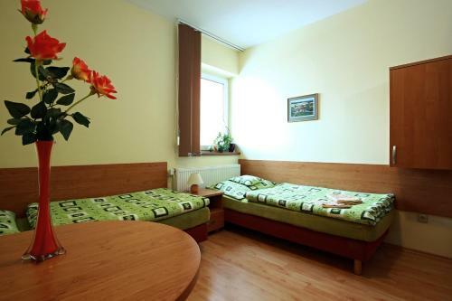 Hostal Wellness Penzion Pod Rozhlednou