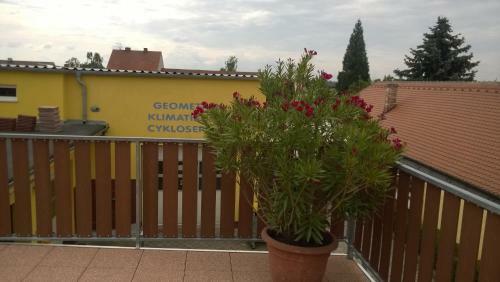 Hostal Guest House Toscana