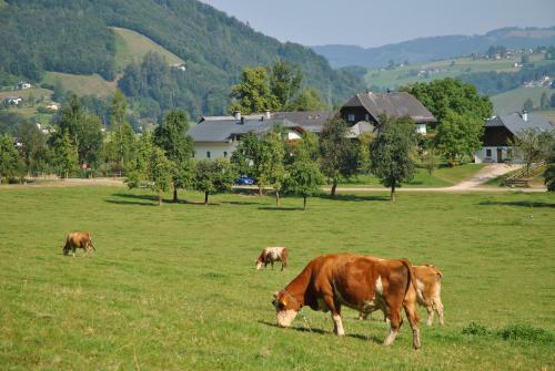 Apartamento Attwengerhof