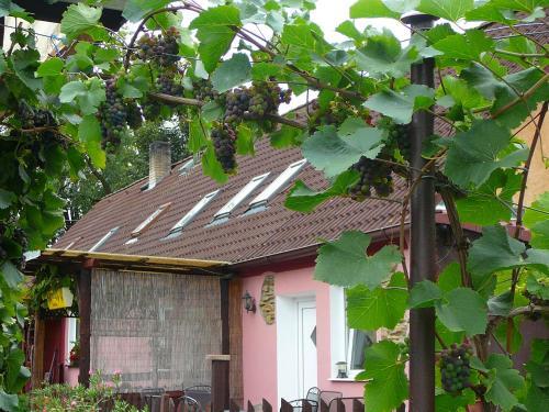 Hostal Private Sv?tlu?ka