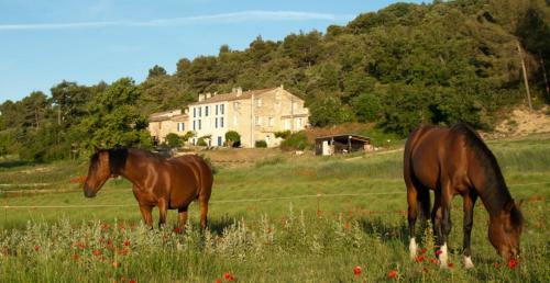 Bed & Breakfast Domaine De Bertrandy
