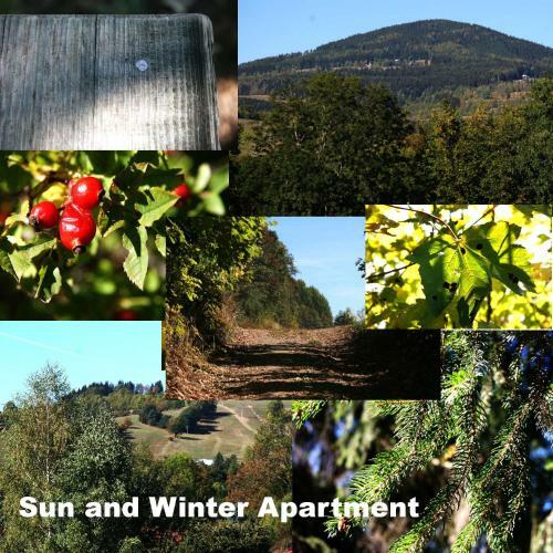 Sun And Winter Apartment