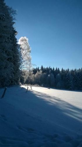 Apartamento Ferienwohnung Skiloipe