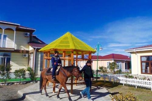 Hotel Paradise Investment Resort
