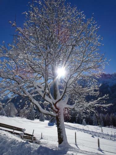 Bergsteiger-hotel Gr�ner Hut
