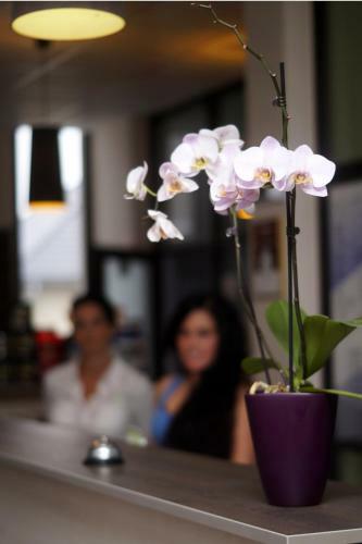 Bed & Breakfast Fitromax Panzi�