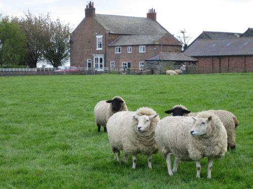 Burton Grange Farmhouse Bed And Breakfast