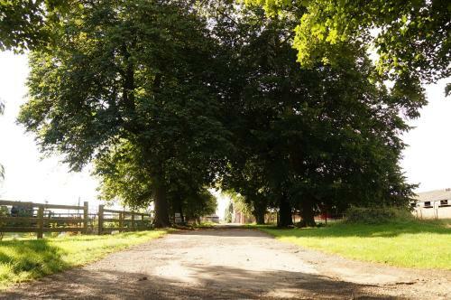 Burton Grange Farmhouse Bed And Breakfast