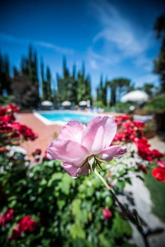 Hotel Villa Luisa