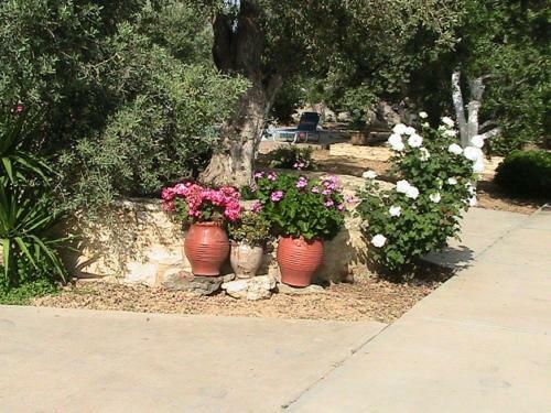 Holiday Home Villa Estia