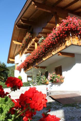 Apartamento Haus Kofler
