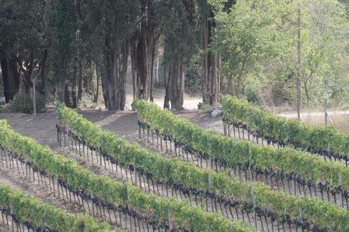 Agroturismo Agriturismo Il Poderuccio