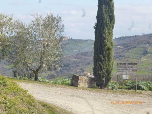 Agroturismo Agriturismo Il Poderuccio