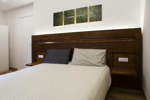Il Pettirosso B&B