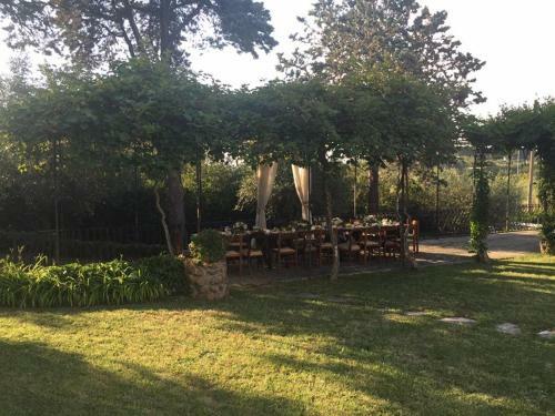 Il Pettirosso B&B
