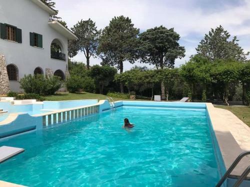Il Pettirosso B&B