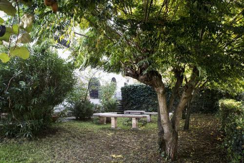 Il Pettirosso B&B