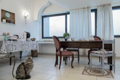 Il Pettirosso B&B