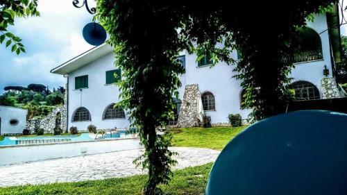 Il Pettirosso B&B