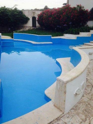 Il Pettirosso B&B
