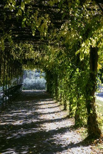 Il Pettirosso B&B