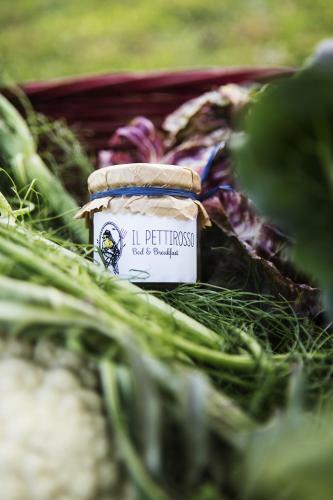 Il Pettirosso B&B